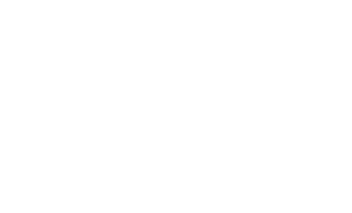 Holy Fool